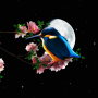 icon Sakura and Bird Live Wallpaper
