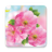 icon Spring Flowers Live Wallpaper 1.0.9