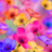 icon Beautiful Flowers HD WallpapAG 1.0