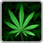 icon My Ganja Wallpaper 1.13