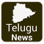 icon Telugu News