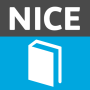 icon Guidance