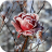 icon Frozen Flowers Live Wallpaper 1.0.5