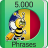 icon Romanian Fun Easy Learn5,000 Phrases 3.3.2