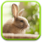 icon Cute Animals Live Wallpaper 1.0.5