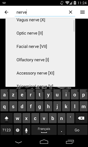 Mandibular nerve - e-Anatomy - IMAIOS