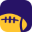 icon Vikings Football 8.2.5