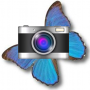 icon Publisher