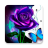 icon ColorMaster 2.12.16