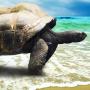 icon live wallpapers turtles