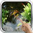 icon Magic Touch: Realistic Koi Live Wallpaper 8.0