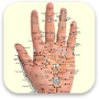 icon Acupressure - Self Healing TCM