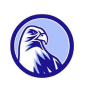 icon FALCONTALK PRO