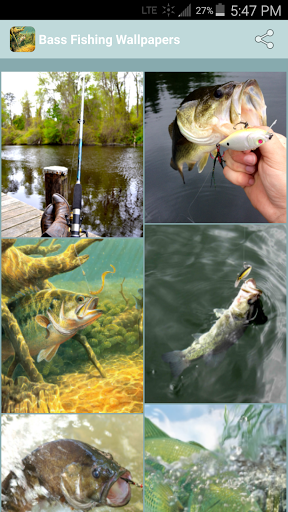Free download Bass Fishing Wallpapers APK for Android