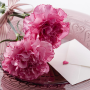 icon Carnation for Mum - Wallpapers