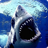 icon Shark 1.1.7